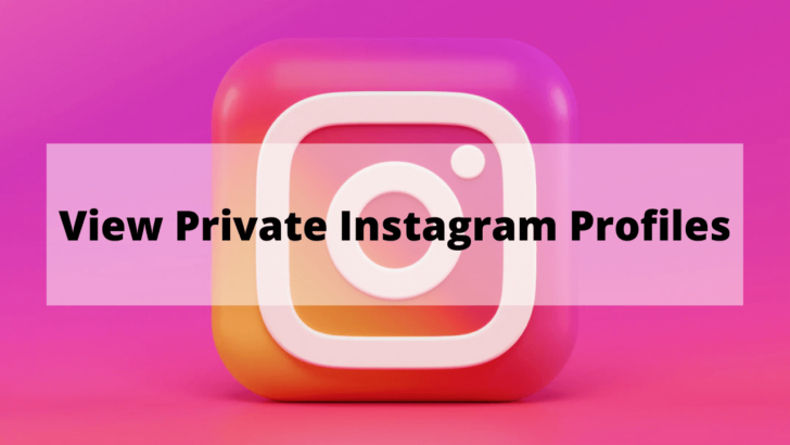 How to View Private Instagram Profiles 2022