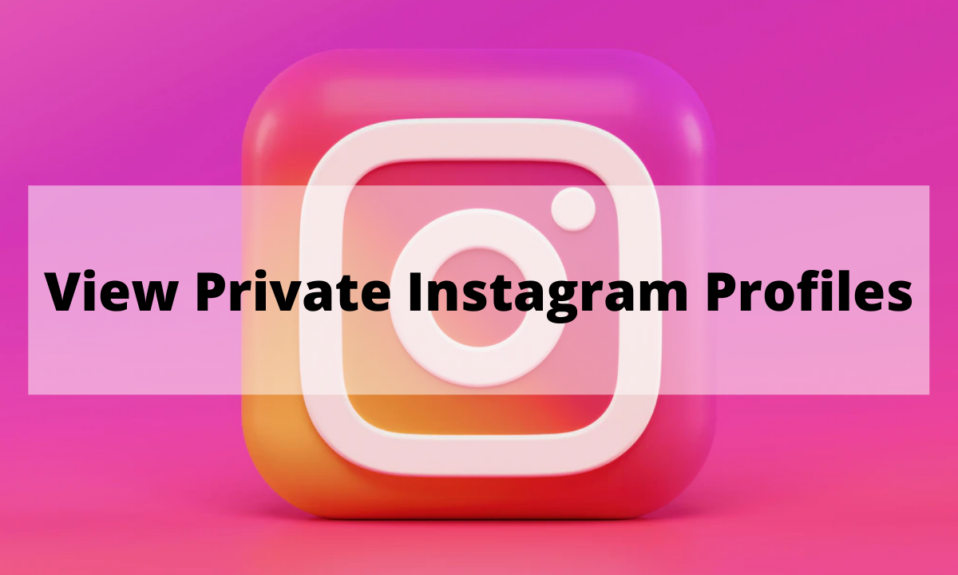 How to View Private Instagram Profiles 2022
