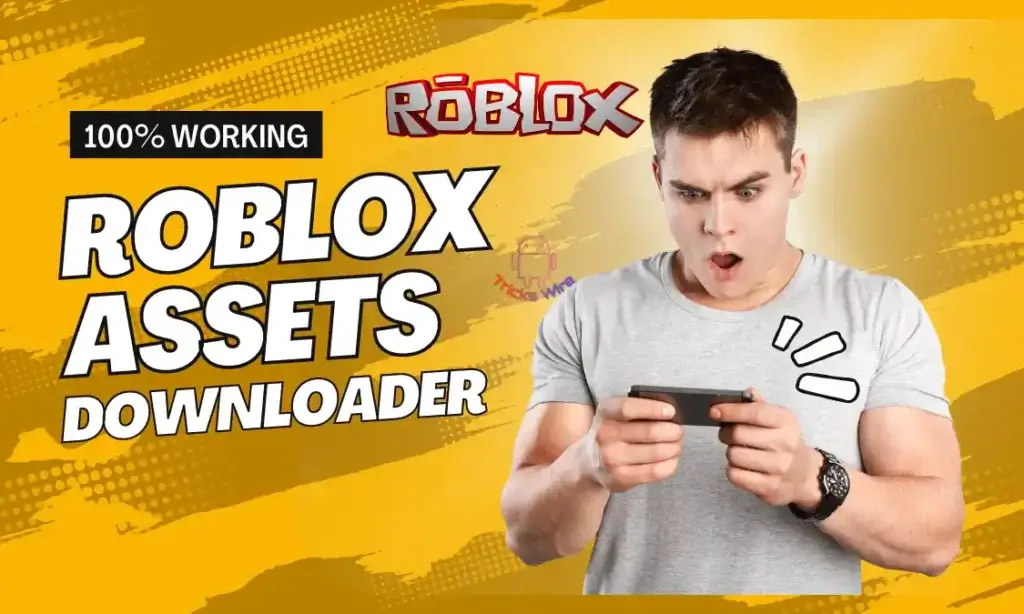 Roblox asset downloader