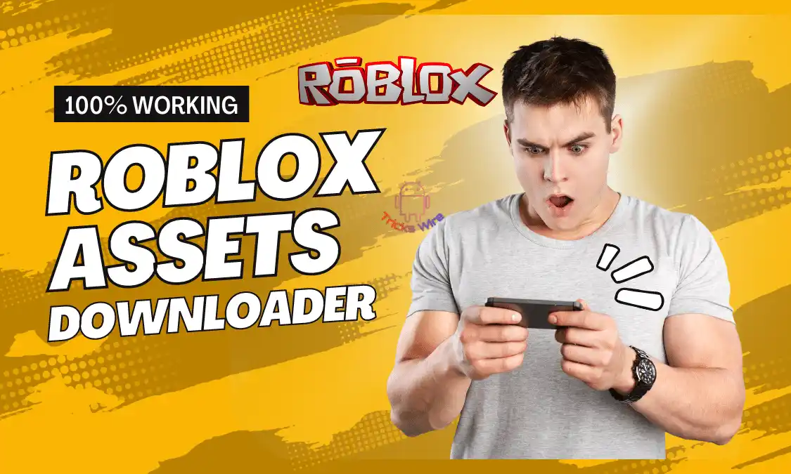 Roblox Asset Downloader.webp