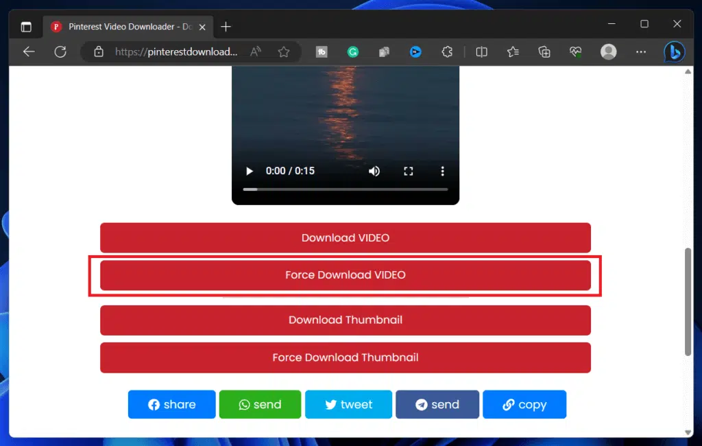 How to Download Pinterest Videos?