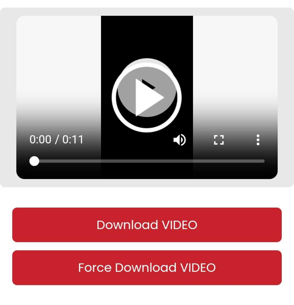 Force Download Video