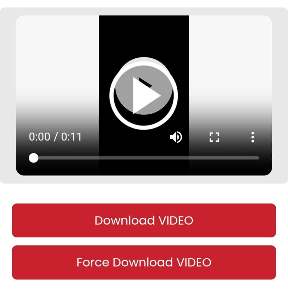 Force Download Video